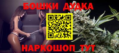 прущий лед Будённовск