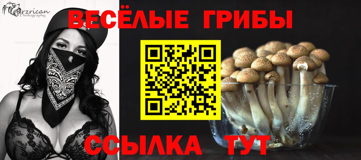 как найти закладки  Галлюциногенные грибы Psilocybe  Вход с VPN  Галлюциногенные грибы мухоморы  Ливны 